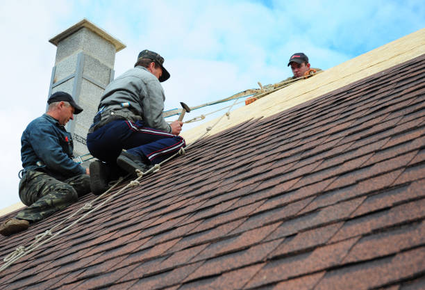 Best Roof Waterproofing Services  in Appleton, MN